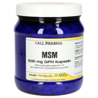 MSM 500 mg GPH Kapseln