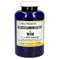 GLUCOSAMINSULFAT+MSM 1:1 Kapseln