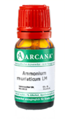 AMMONIUM MURIATICUM LM 26 Dilution