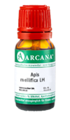 APIS MELLIFICA LM 60 Dilution