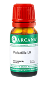 PULSATILLA LM 75 Dilution