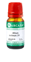 ALLIUM SATIVUM LM 7 Dilution