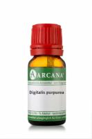 DIGITALIS PURPUREA LM 6 Dilution